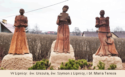 Lipnia swieci